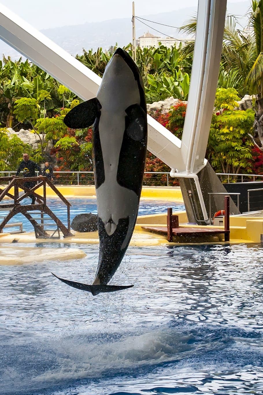 Loro Parque