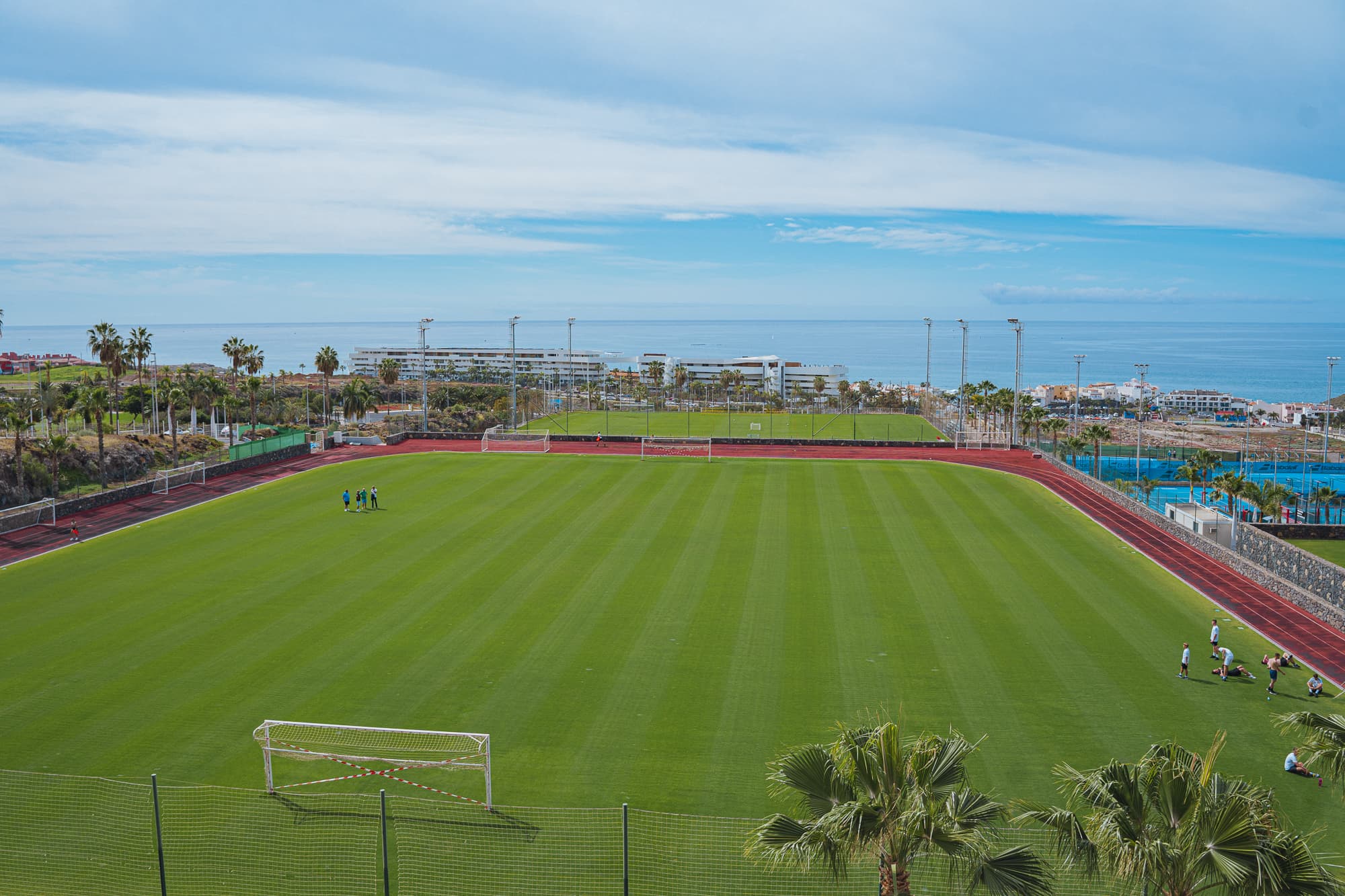 FIFA-standard pitches